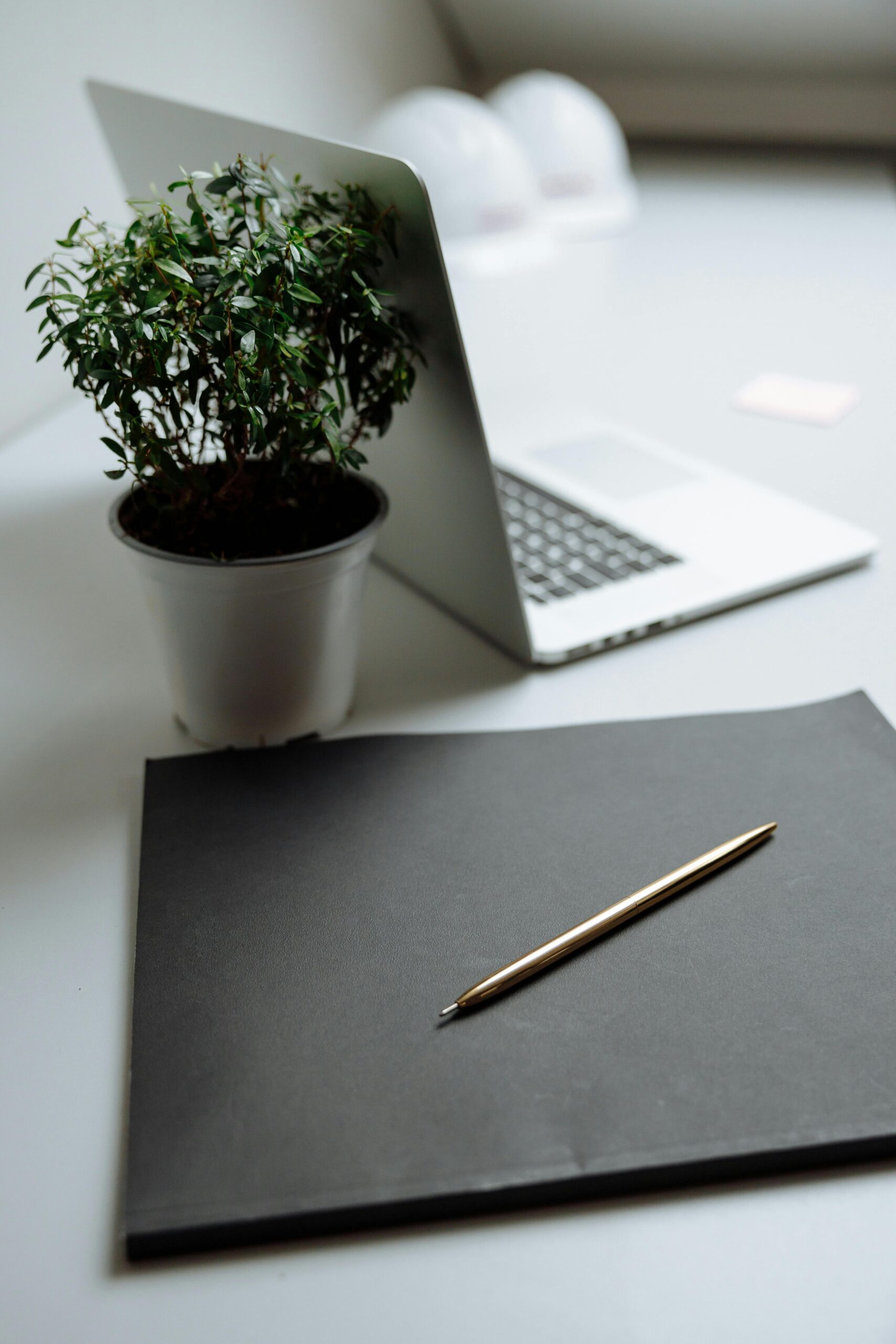 A minimalist workspace featuring a laptop, plant, and pen on a desk.